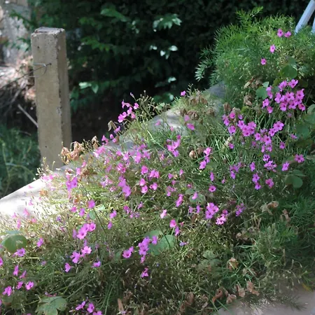With A Parking Space Srebreno, Dubrovnik - 8828 Mlini