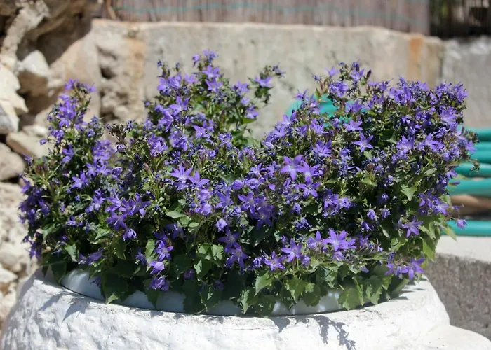 With A Parking Space Srebreno, Dubrovnik - 8828 شقة مْليني