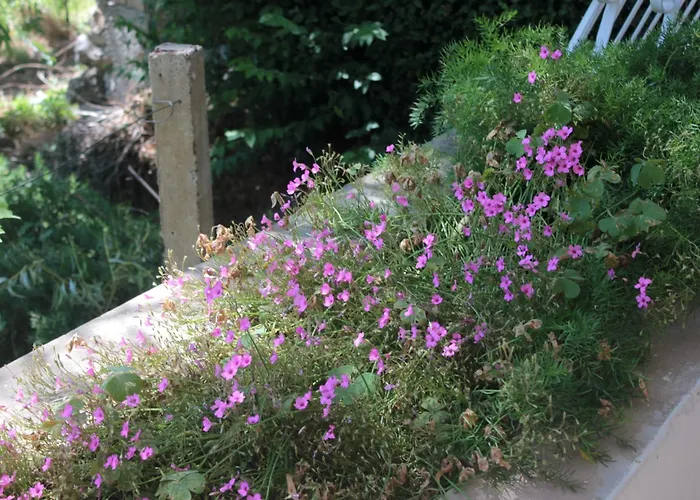 With A Parking Space Srebreno, Dubrovnik - 8828 مْليني